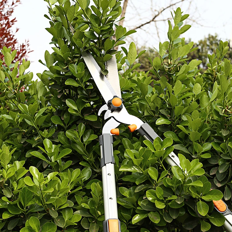 Grădină, Copac Pruning Shears Nicovală Bypass Razor Edge Lopper Telescopic Long Reach Aluminiu Mâner de Cuțit de Fructe Selector de tăiat via DIY