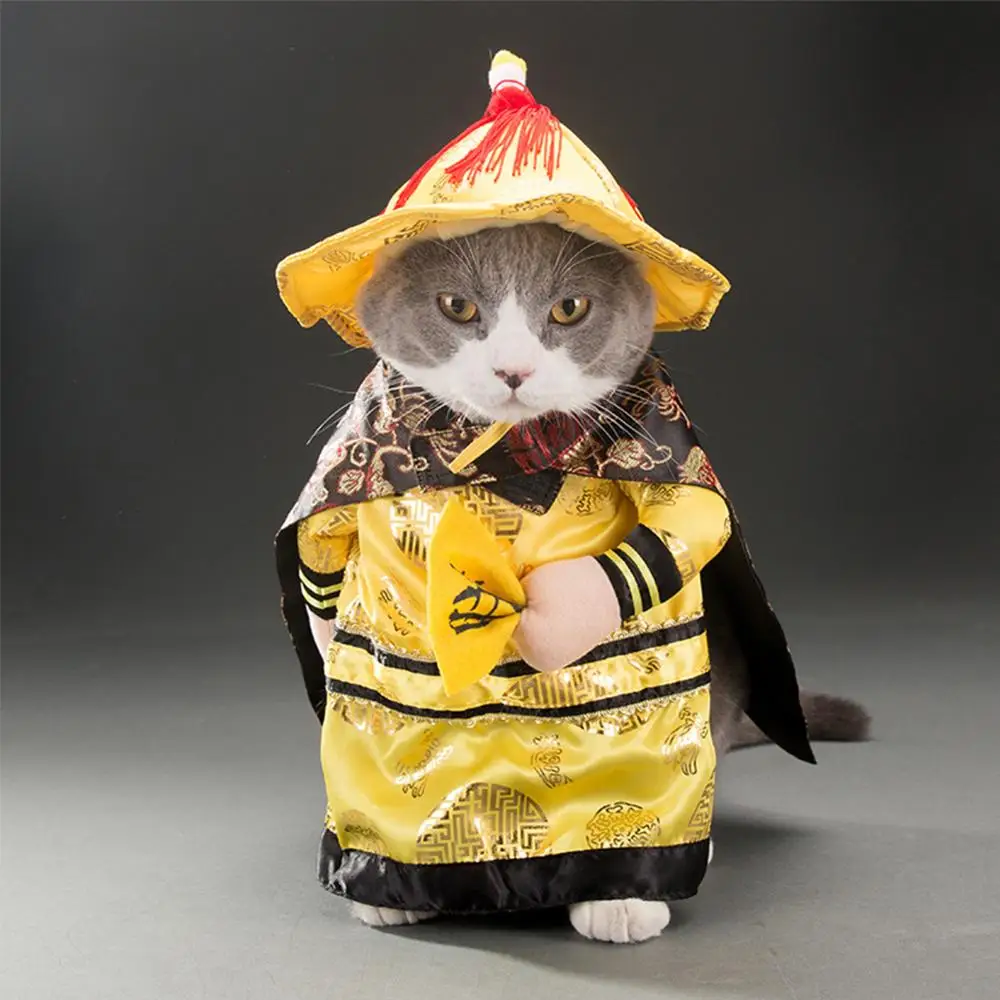 Center Drought Composition La reducere! De vânzare la cald corsair cowboy costume drăguț pirat lucruri  de companie cosplay costum pentru pisici haine de lux kitty câine amuzant  pălărie accesorii \ en-gros - www.babygreen.ro
